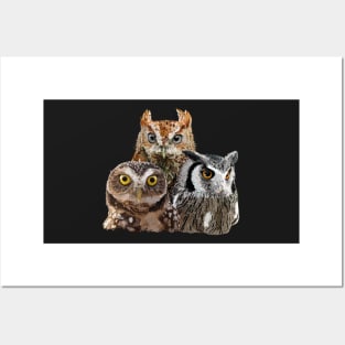 Owls Posters and Art